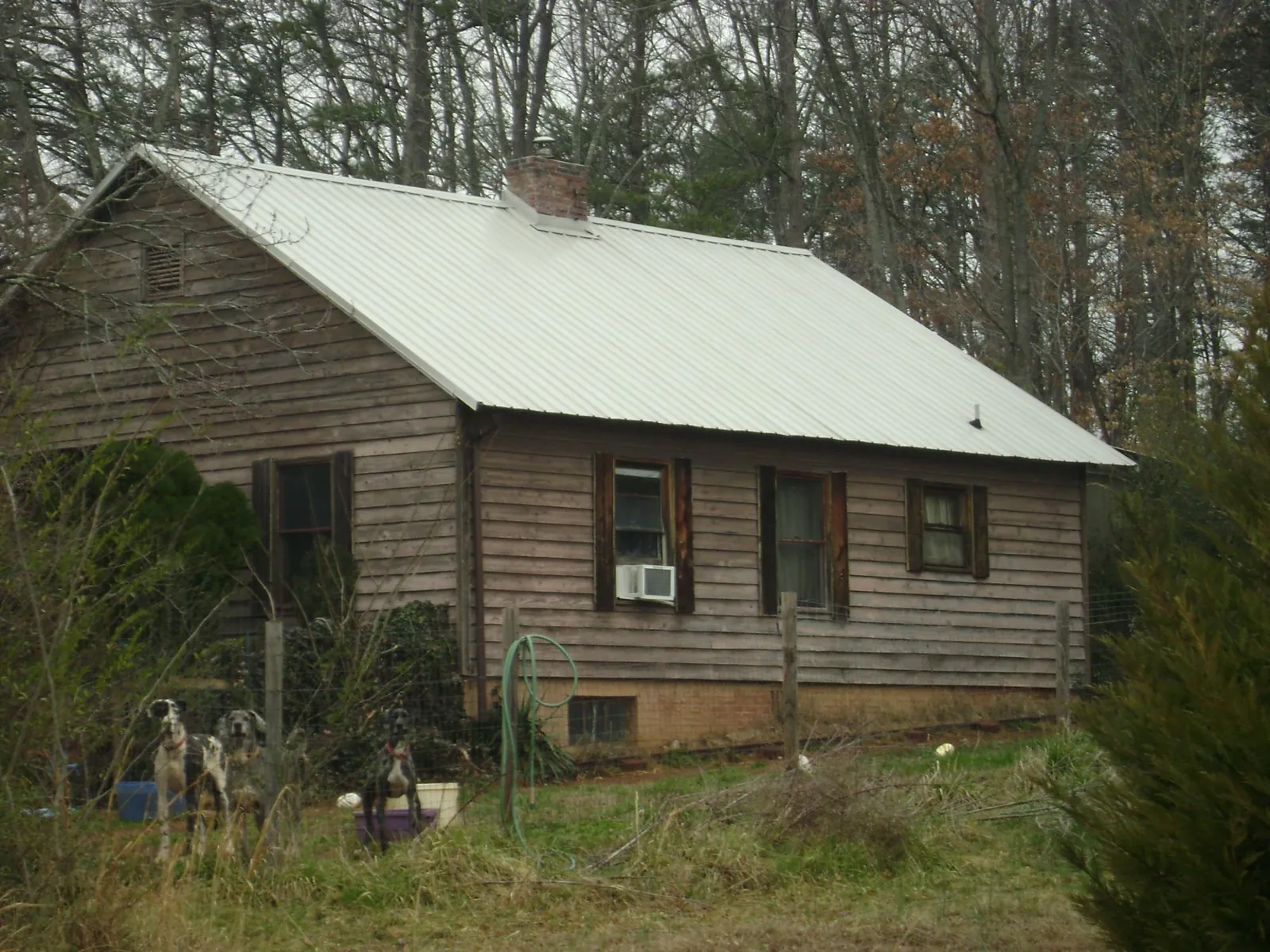 White metal roof on an old wood sided farmhouse, from a Metal Roof Installation job in Bodega Bay